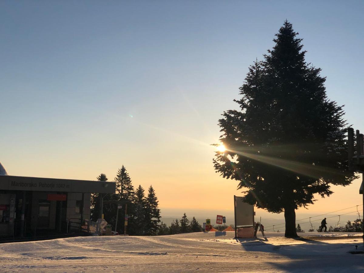 Chalet Anra Pohorje Zgornje Hoce Ngoại thất bức ảnh