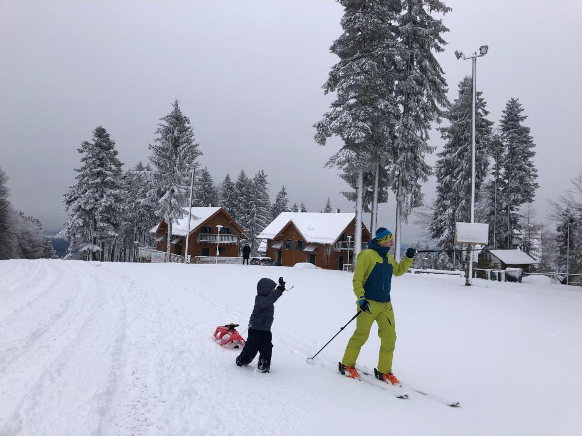 Chalet Anra Pohorje Zgornje Hoce Ngoại thất bức ảnh