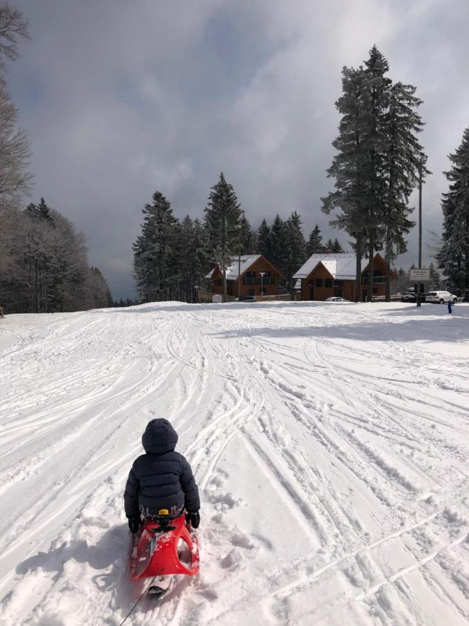 Chalet Anra Pohorje Zgornje Hoce Ngoại thất bức ảnh