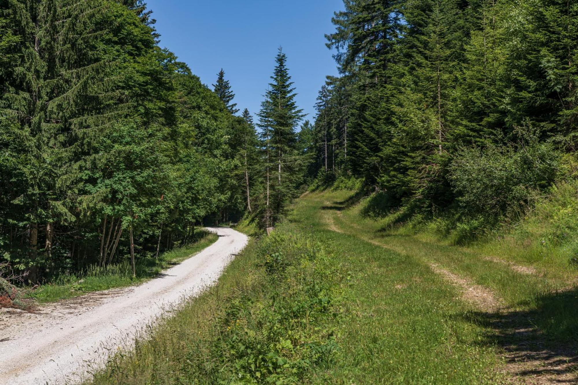 Chalet Anra Pohorje Zgornje Hoce Ngoại thất bức ảnh